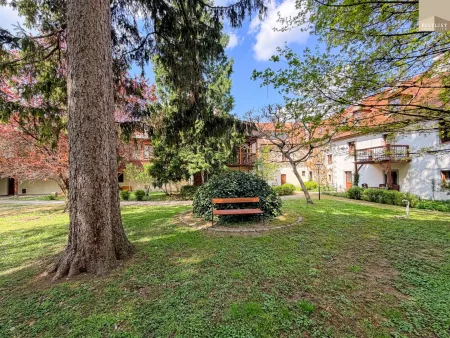TOP LAGE - Charmante Dachgeschosswohnung in Baden