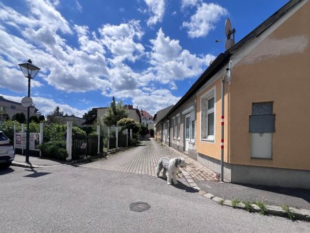 Blick zum Eigengarten gegenüber