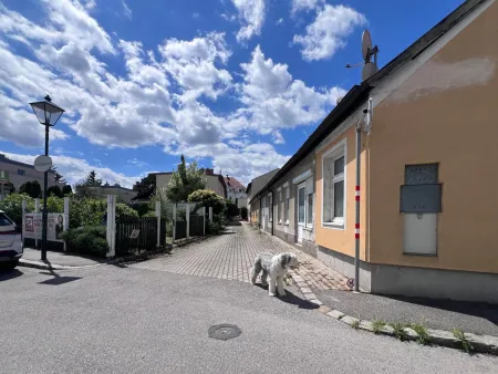 Blick zum Eigengarten gegenüber