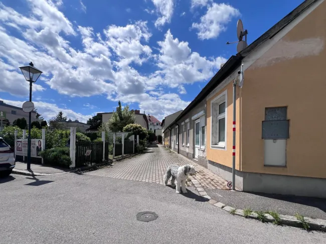 Hausansicht Gartengasse/Sackgasse
