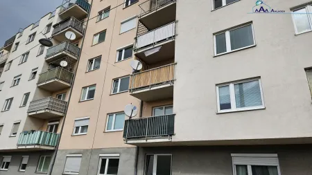 Wunderbar gepflegte 3 Zimmerwohnung mit hohem Wertsteigerungspotential in der Brigittenau zu kaufen
