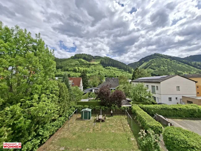 Panorama