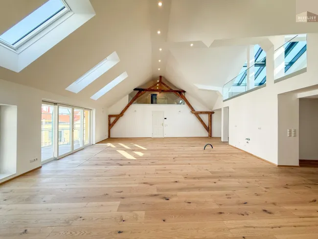 Alte Mühle Baden – Wo historischer Charme auf modernes Penthouse-Design trifft - Titelbild