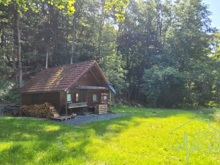 Naturparadies mit Fischteich, Fischerhütte und Wasserrechten - nahe Stadtschlaining