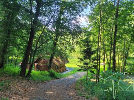 Naturparadies mit Fischteich, Fischerhütte und Wasserrechten - nahe Stadtschlaining
