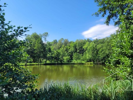 Naturparadies mit Fischteich, Fischerhütte und Wasserrechten - nahe Stadtschlaining