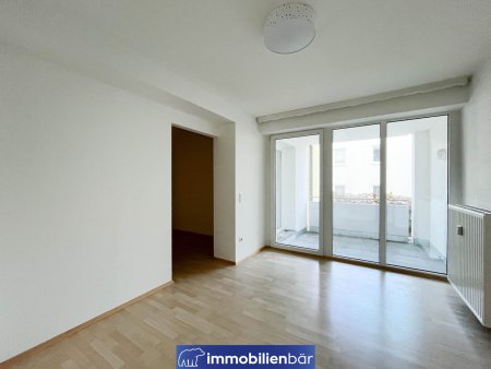 Chice 3 Zimmerwohnung mit Loggia - nähe Stadtpark