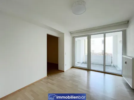 Chice 3 Zimmerwohnung mit Loggia - nähe Stadtpark
