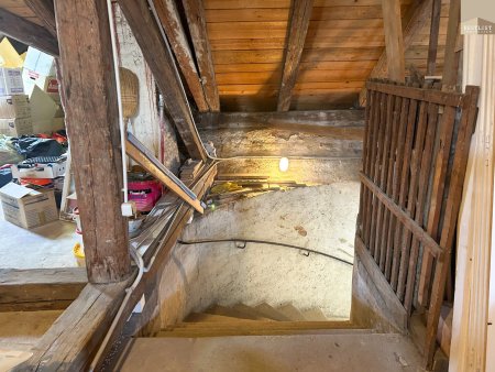 Traumhafte Innenstadtlage - Rohdachboden