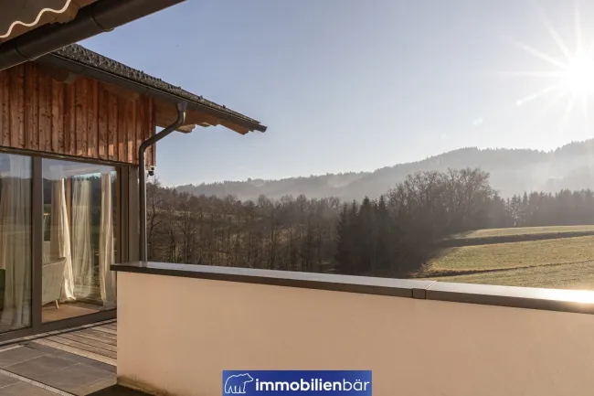 Ausblick