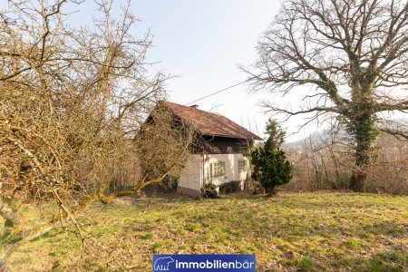 Attraktives Baugrundstück im Zaubertal Leonding mit Bestandsgebäude & Entwicklungspotenzial