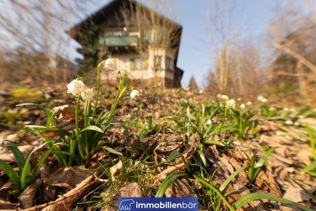 Großzügiger Bauplatz im Zaubertal Leonding | ca. 1.080 m² | unverbindlicher Teilungsvorschlag