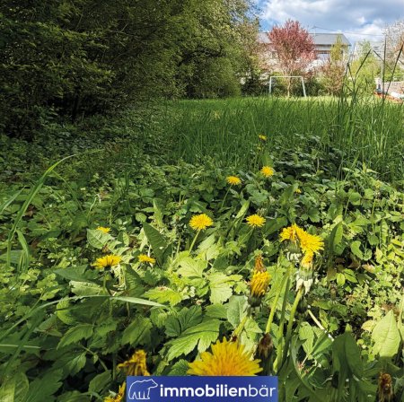 Sonniges 751m² Baugrundstück in ruhiger Siedlungslage von Leonding