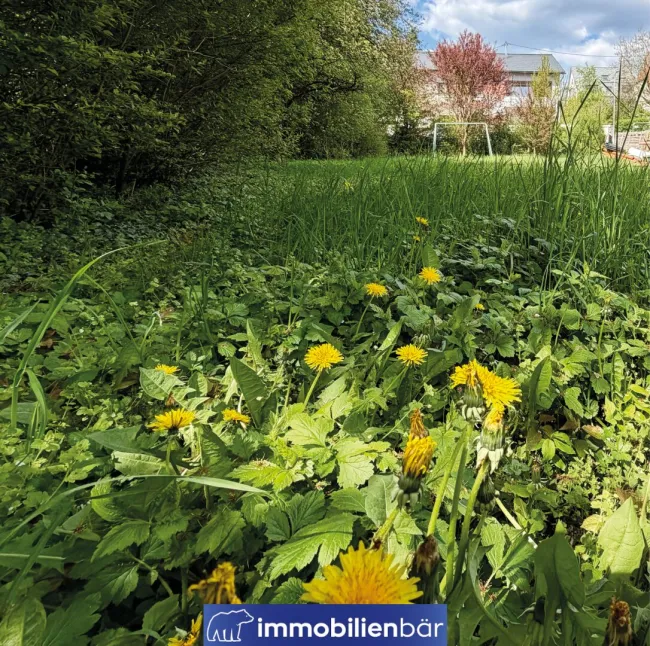 Sonniges 751m² Baugrundstück in ruhiger Siedlungslage von Leonding - Bild