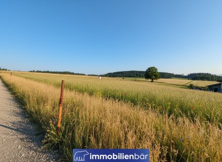 Wamprechtsham