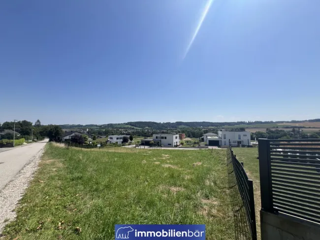 Südhang Grundstück mit Weitblick in Pichl bei Wels - KEIN BAUZWANG - Bild