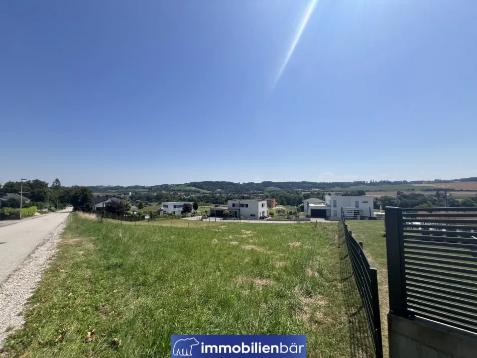 Südhang Grundstück mit Weitblick in Pichl bei Wels - KEIN BAUZWANG - Bild
