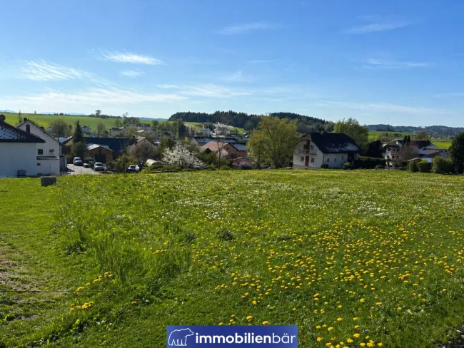 Frühlingsfotos