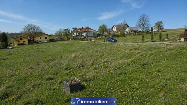 Frühlingsfotos