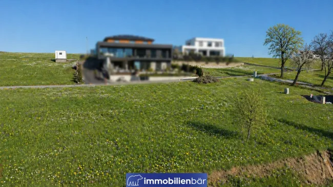 Frühlingsfotos