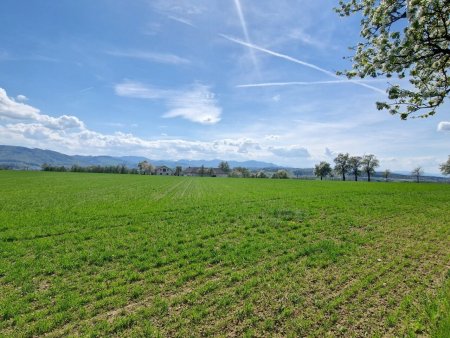 Top 1: Baubeginn bereits erfolgt! Schlüsselfertiges Einfamilienhaus mit 5 Zimmern, Carport, Terrasse, Eigengarten!