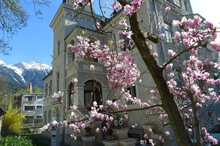 Immobilienmakler Innsbruck