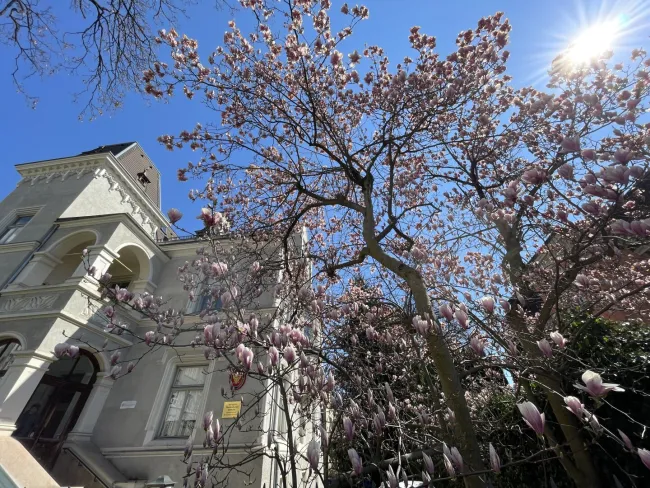 Immobilienmakler Innsbruck