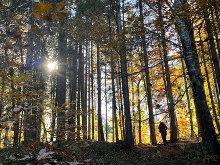 Hotel mit Freizeitanlage, Tennisplätzen im Bayrischen Wald