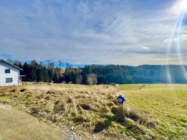 Grundstück
