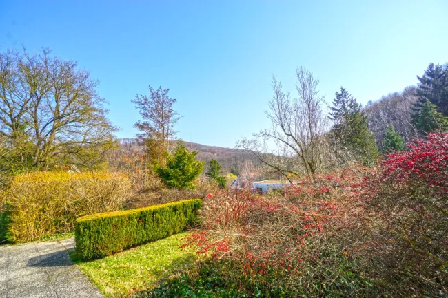Terrasse_Ausblick