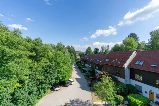 Grünblick