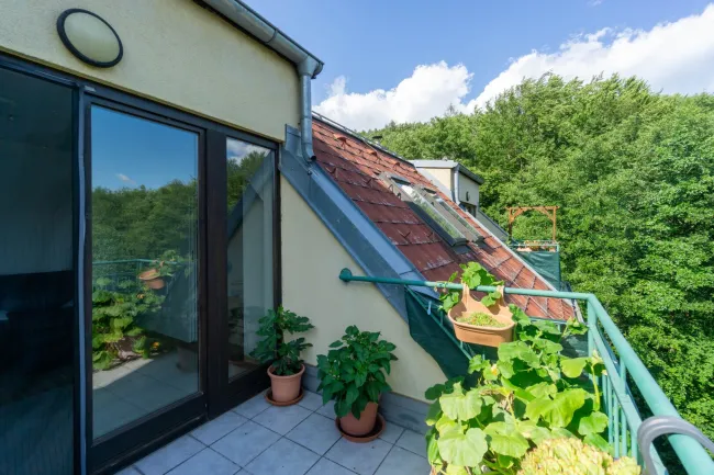 Terrasse 2