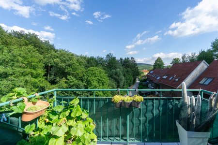Ausblick Terrasse 2