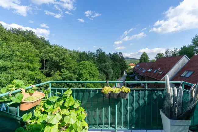 Wohnküche zur Terrasse 1