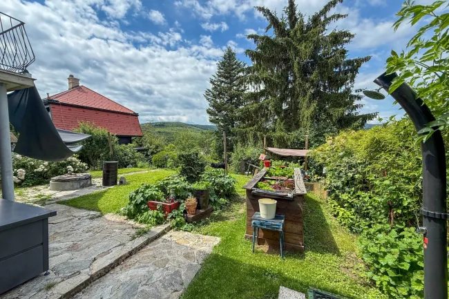 Garten mit Hochbeet
