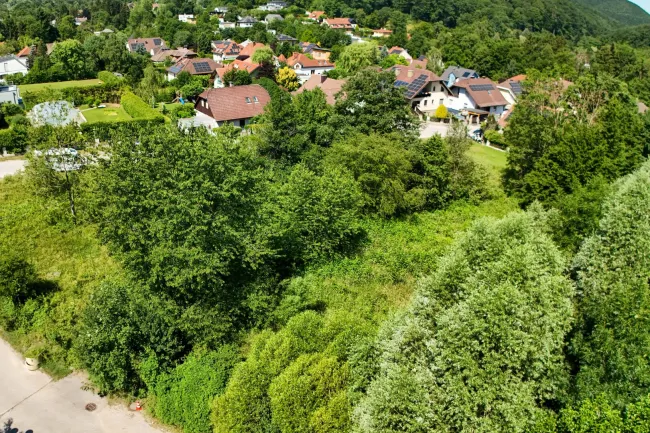 Wohnen, wo der Wienerwald beginnt – sonniger Baugrund in Purkersdorf-Baunzen - Bild