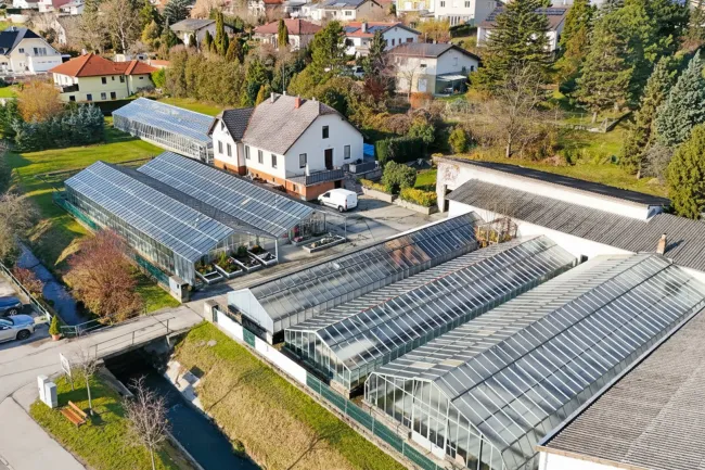 Gärtnerei nahe Tulln & Wien: Betriebsimmobilie mit Glashäusern und Wohnhaus - Umwidmung möglich - Bild