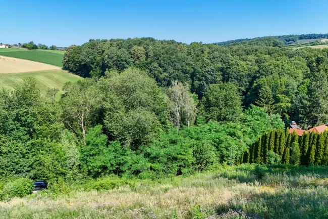Baugrundstück in idyllischer Grünlage in Altlengbach unweit Ortskern - Bild