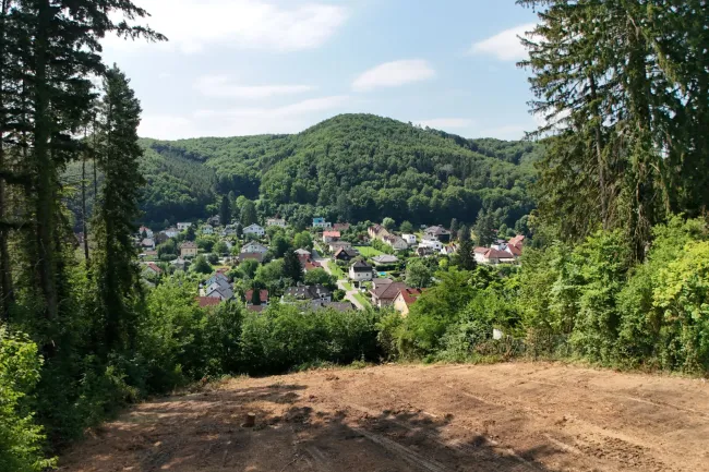 Purkersdorf | Sonniger Bauplatz mit Fernblick | Zwei Wohneinheiten möglich - Titelbild