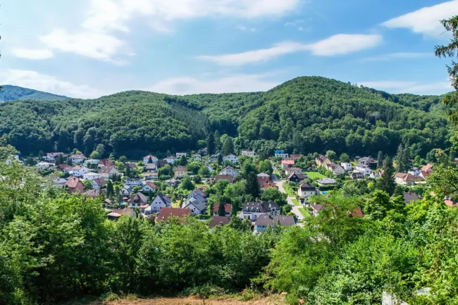 Purkersdorf | Sonniger Bauplatz mit Fernblick | Zwei Wohneinheiten möglich - Bild
