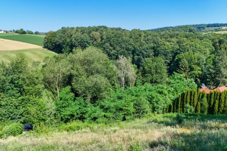 Seltene Gelegenheit: Großzügiges Baugrundstück in begehrter Grünlage unweit Ortskern