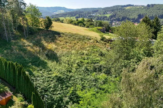 Ihr Bauplatz am Waldrand – Wohnen zwischen Wiesen, Wald und Weitblick - Titelbild