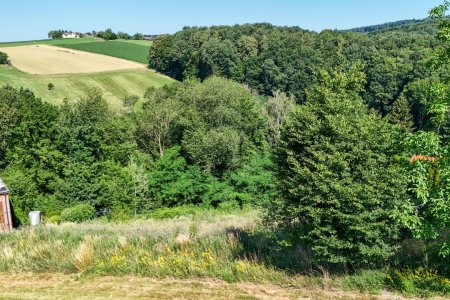 Ihr Bauplatz am Waldrand – Wohnen zwischen Wiesen, Wald und Weitblick