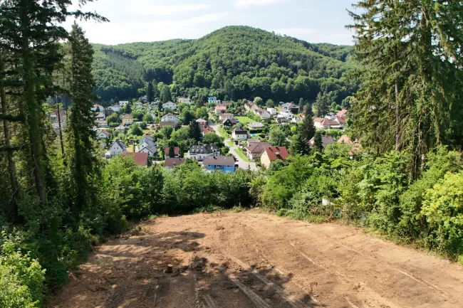 Ein Bauplatz mit Aussicht – Ihr Zuhause am Sagberg - Bild