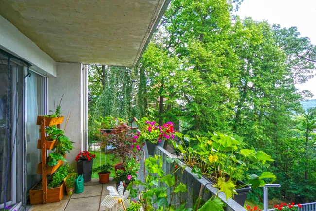 Balkon