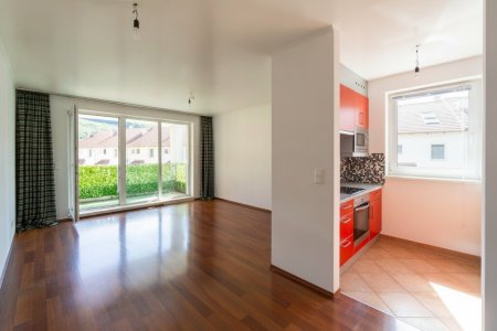 Wohnzimmer und Küchennische