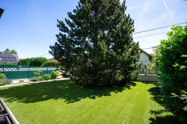 Garten mit Schwarzföhre und Kunstrasen