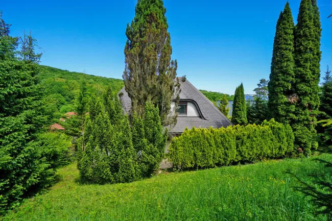 Garten mit Ansicht Haus