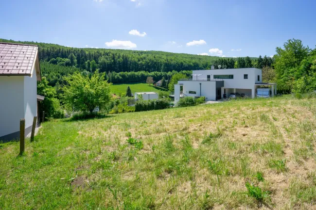 Blick über das Grundstück nach Süden