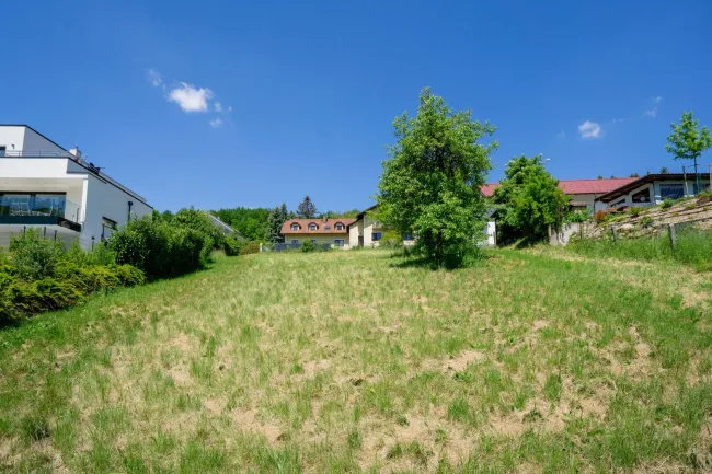 Blick über das gesamte Grundstück hinauf